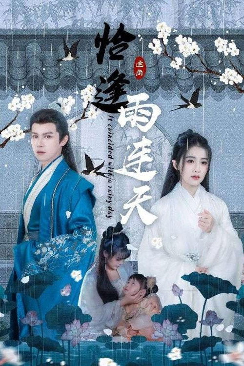 恰逢雨连天海报