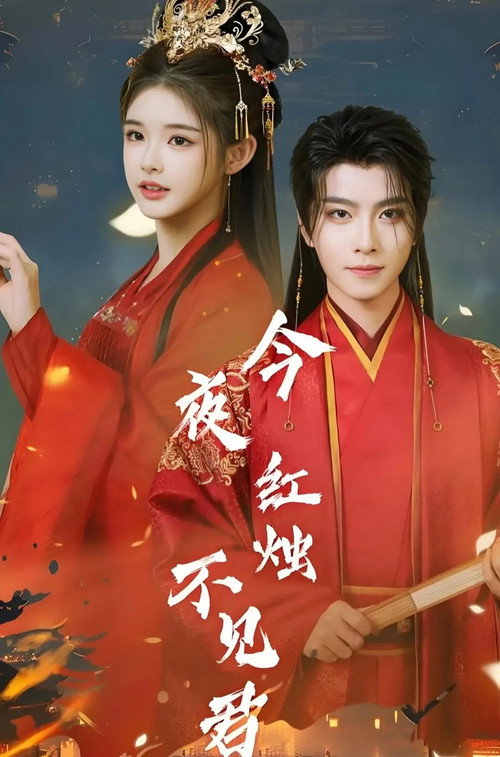 今夜红烛不见君电影海报