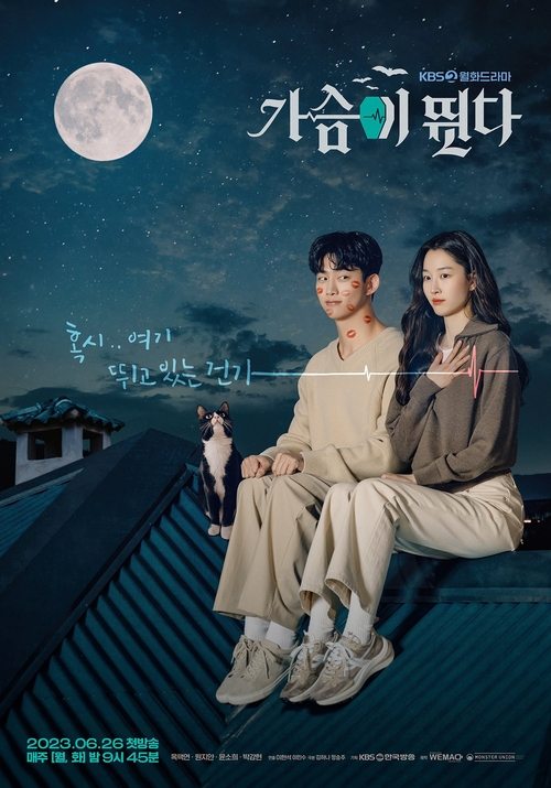 Poster of El latido de mi corazón