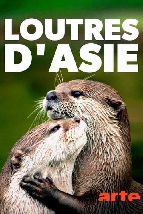 My+Otter+Diary