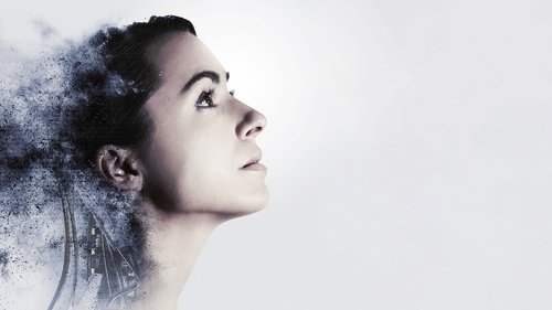 Amelia 2.0 2017
