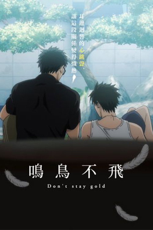 鸣鸟不飞：Don't stay gold电影海报