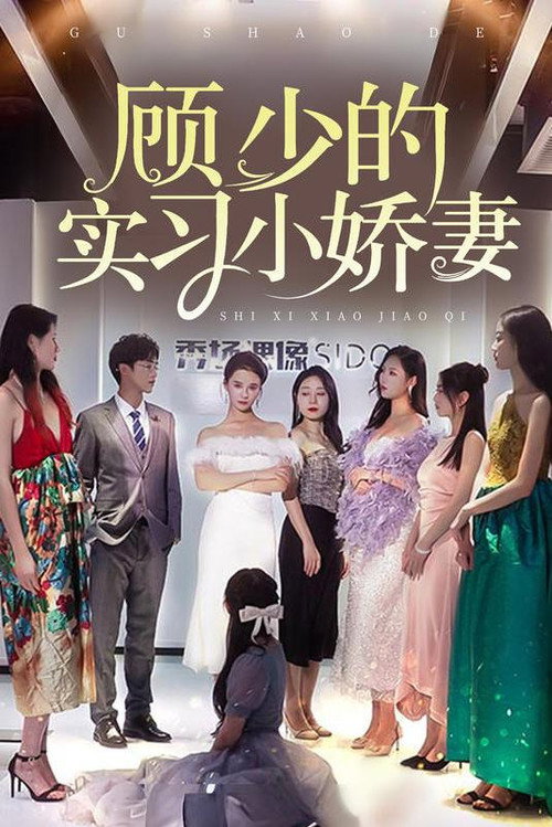 顾少的实习小娇妻电影海报