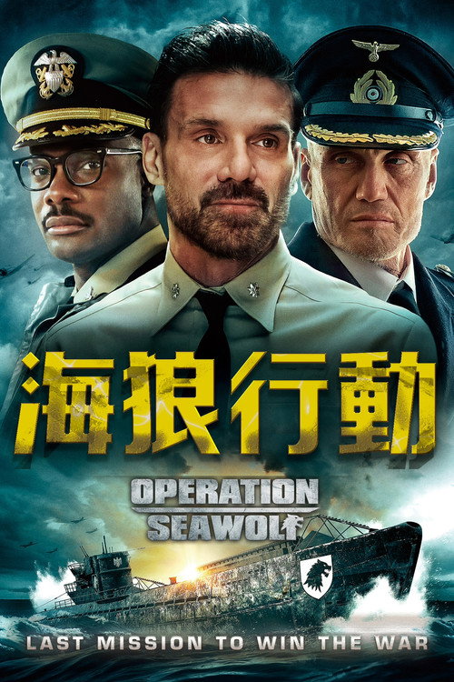 海狼行动电影海报