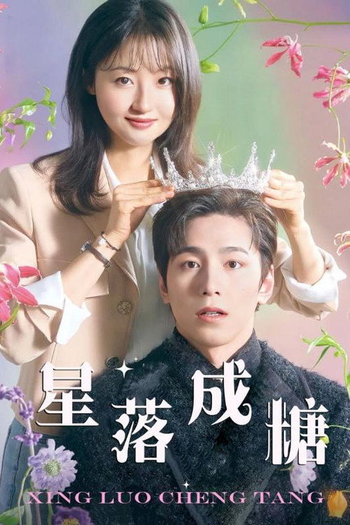 星落成糖电影海报