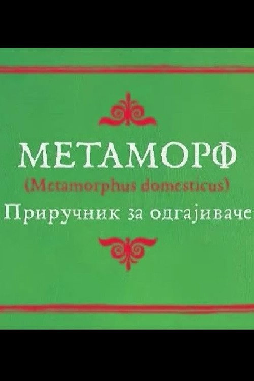Metamorph's poster