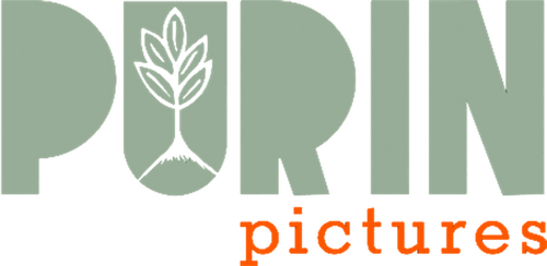 Purin Pictures Logo