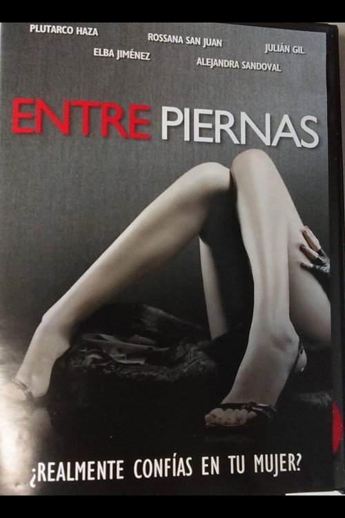 Entre piernas poster 2