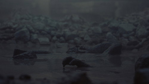image41