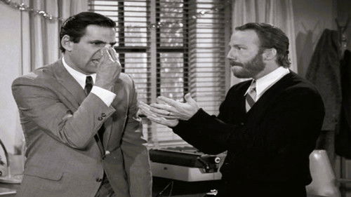 The Mike Van Dyke Show