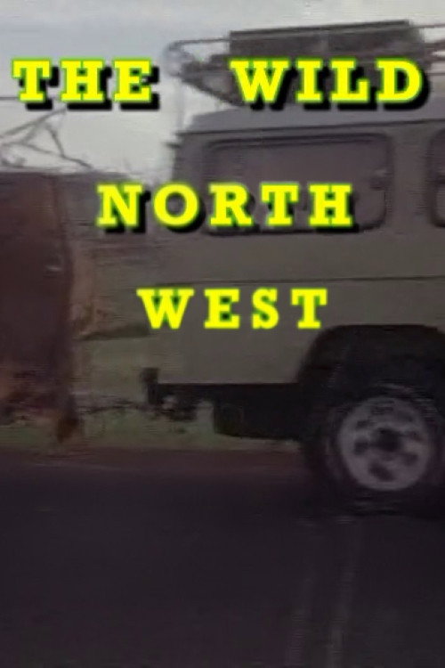 The Wild North West电影海报