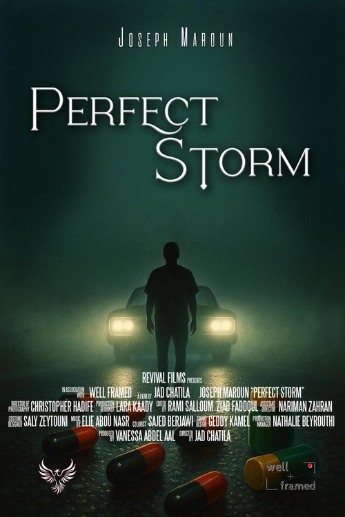Perfect Storm Poster