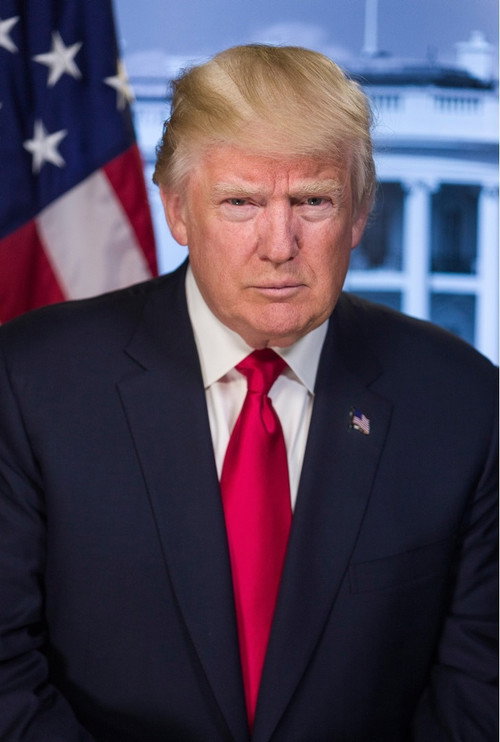 Det store Trumpshow电影海报