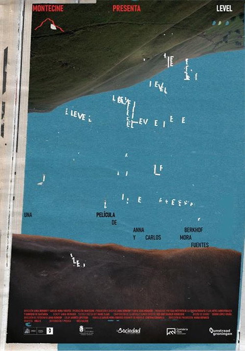 Level电影海报