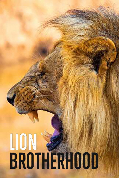 Lejonens gemenskap电影海报