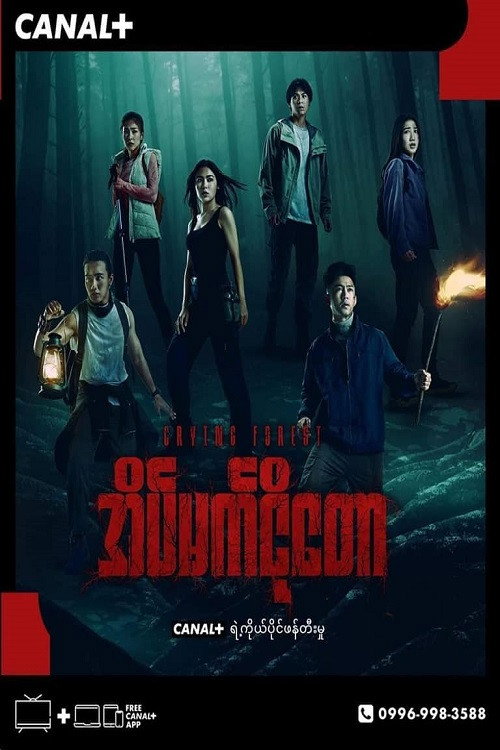 အိမ်မက်ငိုတော电影海报
