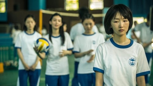 少年的你 (2019) Ver Pelicula Completa Streaming Online