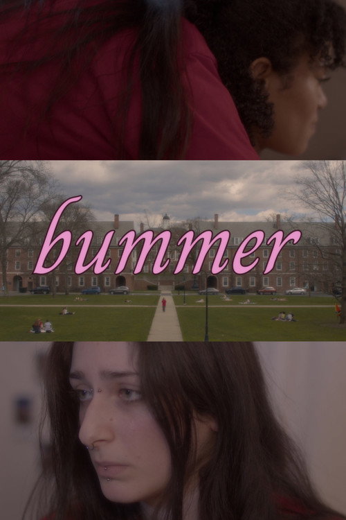 Bummer poster 2
