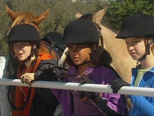 Show Ponies (2)