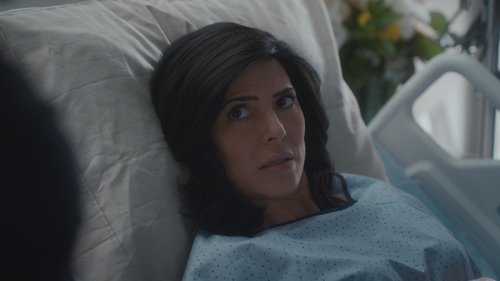 Private Eyes - 1. Bölüm