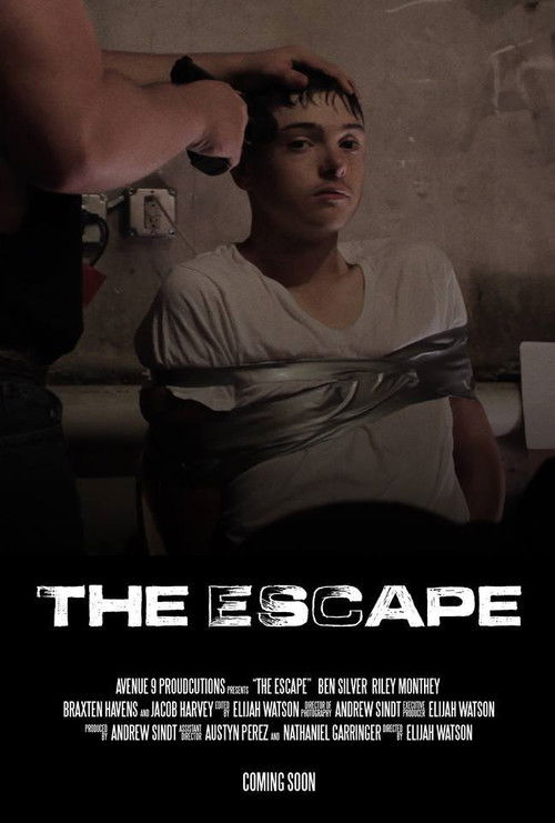 The Escape (2015) Watch Full HD Streaming Online in HD-720p Video
Quality