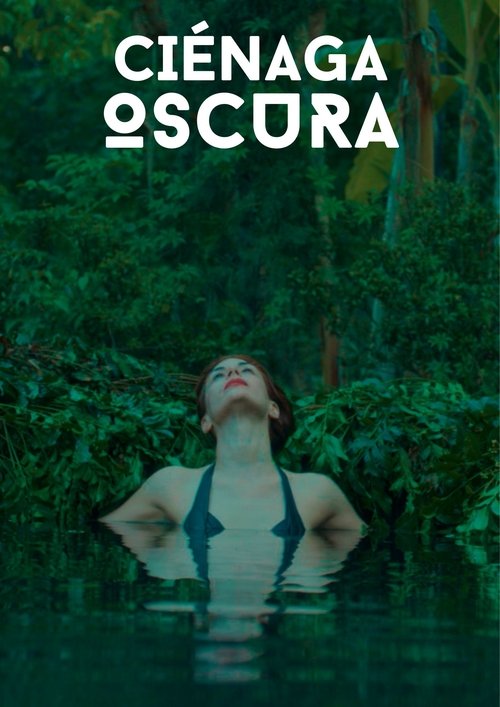 Dark Swamp Poster