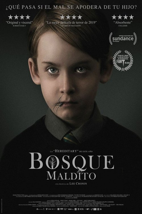 Ver Bosque maldito (2019) COMPLETA AUDIO LATINO Ver Pelical Bosque maldito (2019) Gratis en línea