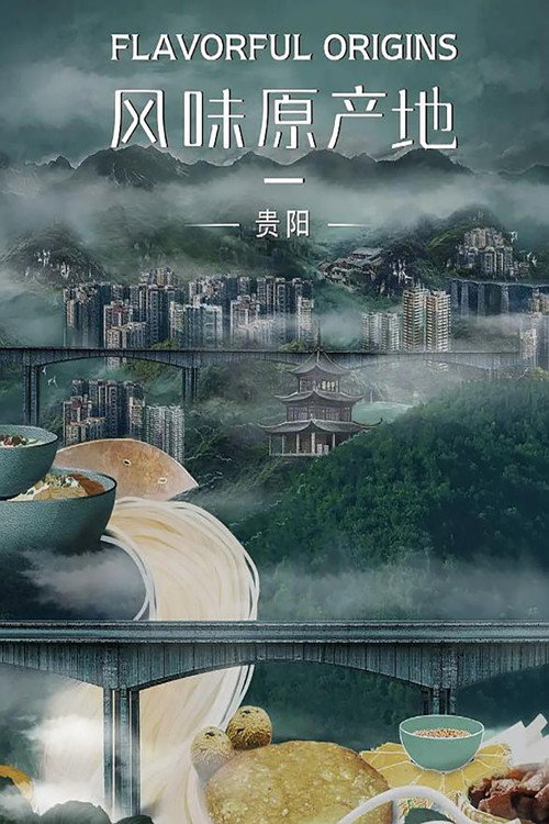 风味原产地&middot;贵阳电影海报