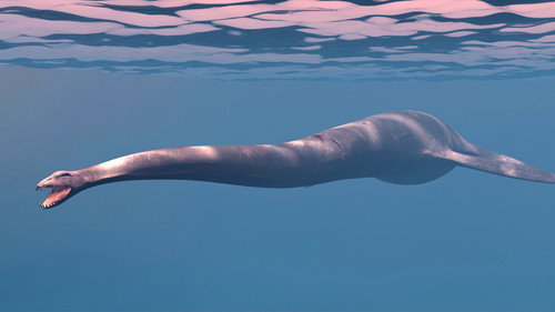 The Loch Ness Monster Part II