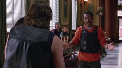 Le flic de San Francisco 1997