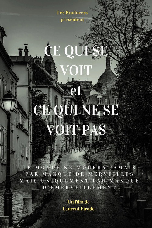 Ce qui se voit et ce qui ne se voit pas poster 2