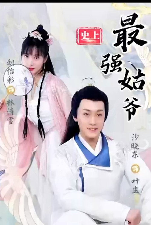 史上最强姑爷电影海报