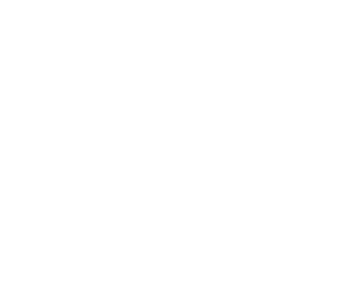 BAD BOYS Logo