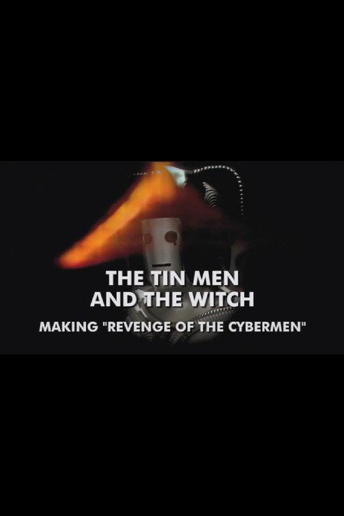The Tin Men and the Witch Poster