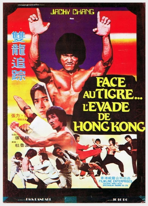Dragon Lee Fights Again poster 3