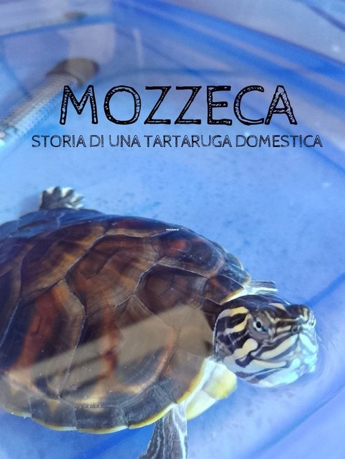 Mozzeca Poster