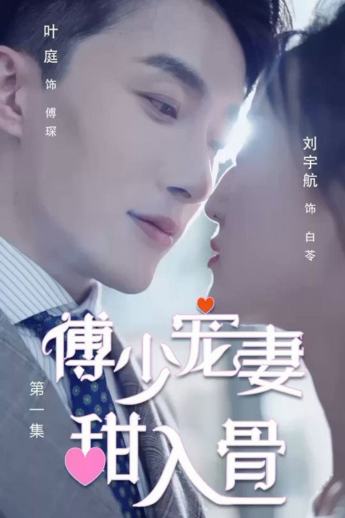 傅少宠妻甜入骨电影海报