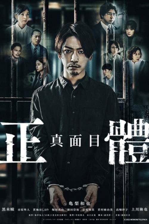 真实身份电影海报