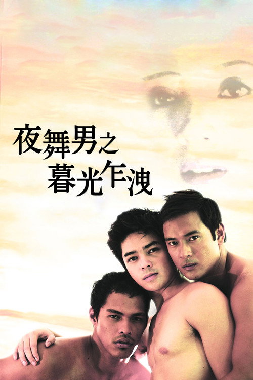 夜舞男之暮光乍泄电影海报