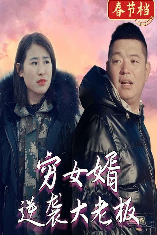穷女婿逆袭大老板电影海报