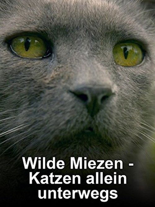 Wilde+Miezen+-+Katzen+allein+unterwegs