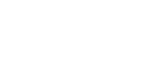 THE TWILIGHT SAGA: NEW MOON Logo