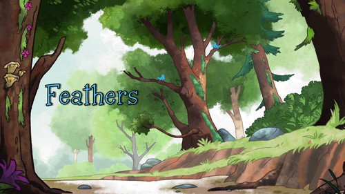 Feathers