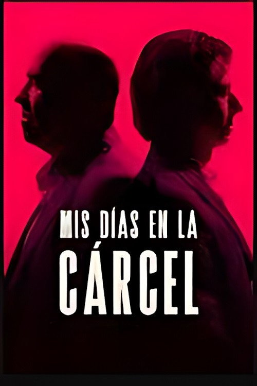 Mis dias en la carcel电影海报