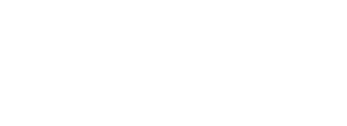 Mufasa The Lion King