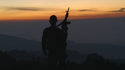 Cartel Land Cartel Land movie poster