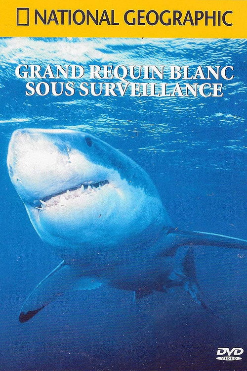 Great White Deep Trouble poster 2