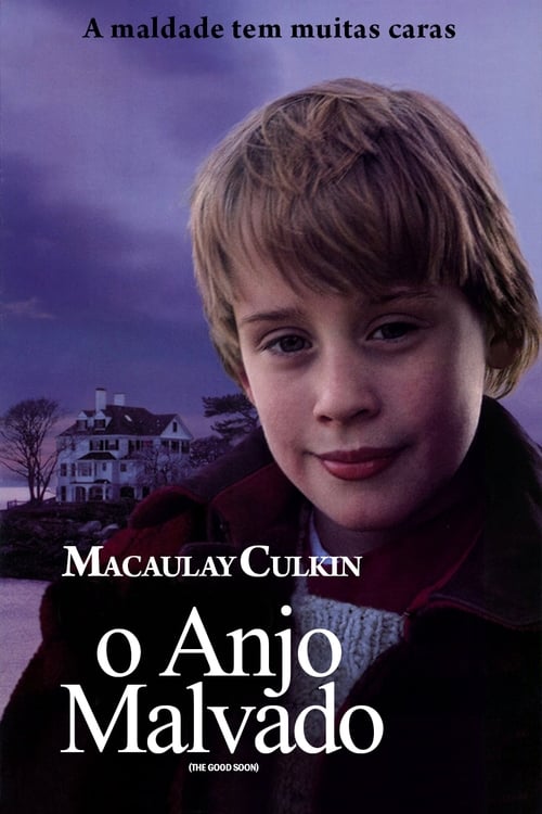 Assistir O Bom Filho (1993) filme completo dublado online em Portuguese