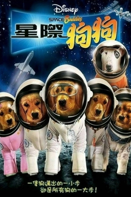 太空巴迪电影海报