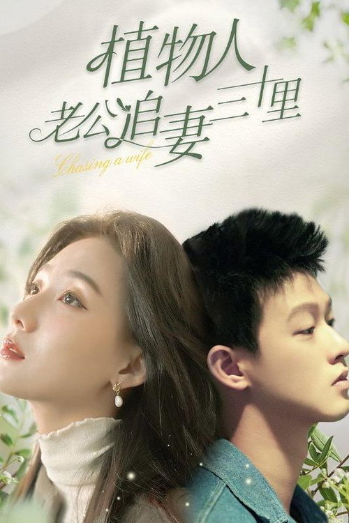植物人老公追妻三十里海报